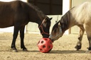 Feed Play Ball red for Horses  152276_mood01_3210386+22.jpg