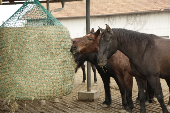 Hay Net for Round Bales for hanging, 150x180cm, 4.5cm 153476_mood01_321605+22.jpg