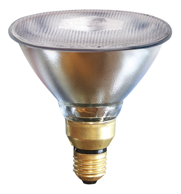 Spaarlamp PAR38 100W, helder